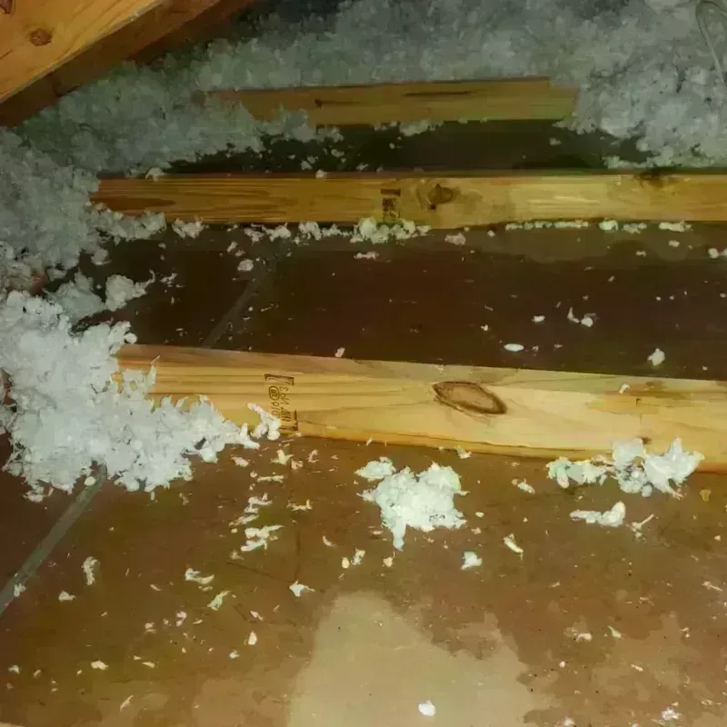 Attic Water Damage in Shelby County, IA