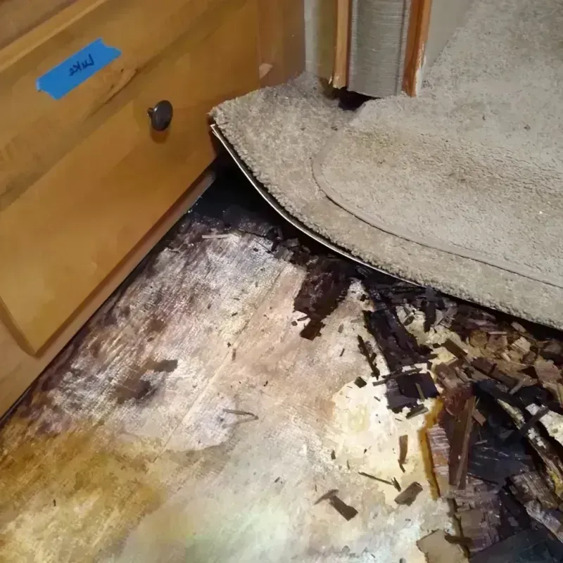 Wood Floor Water Damage in Shelby County, IA